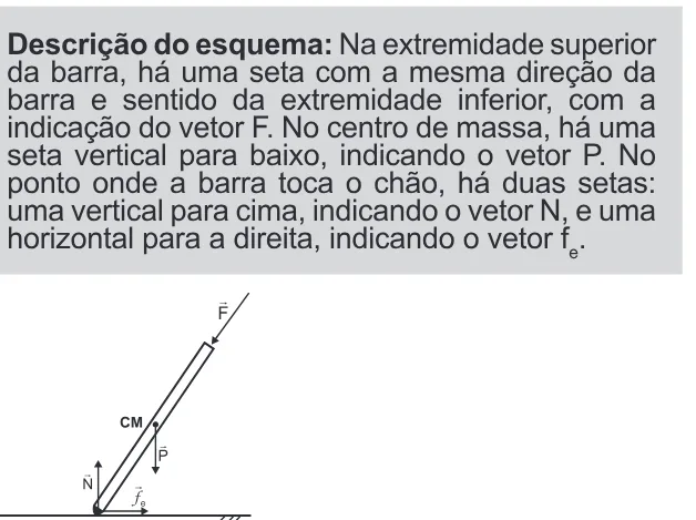 Alternativa E da questão 123 do ENEM 2022 - 2º Dia – Caderno 11 – Laranja (braile e ledor) – Aplicação Regular.