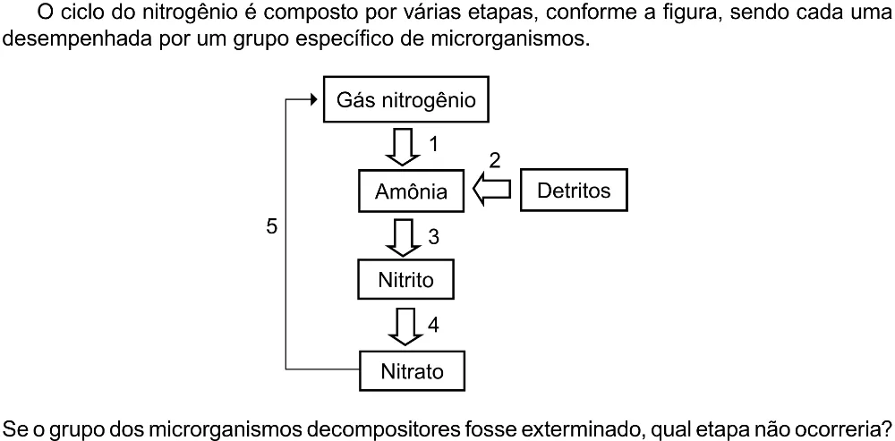 Trecho original com figura, tabela ou fórmula da questão 111 do ENEM 2023 - 2º Dia – Caderno 12 – Verde (Libras) – Aplicação Regular - (Ampliada).