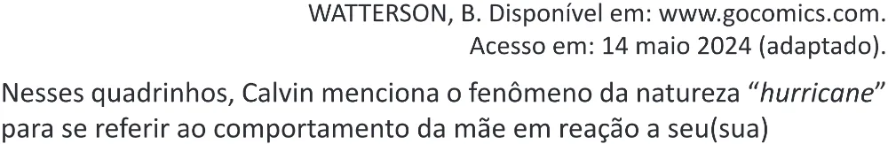 Trecho original com figura, tabela ou fórmula da questão 1 (inglês) do ENEM 2025 - 1º Dia – Caderno 9 – Laranja (Braile e ledor) – Reaplicação - (Superampliada).