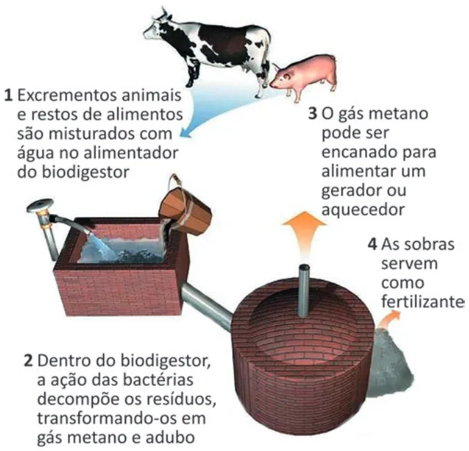 Trecho original com figura, tabela ou fórmula da questão 111 do ENEM 2025 - 2º Dia – Caderno 7 – Azul – Aplicação Regular.