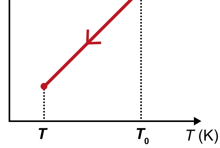 Alternativa E da questão 98 do ENEM 2023 - 2º Dia – Caderno 12 – Verde (Libras) – Aplicação Regular - (Ampliada).