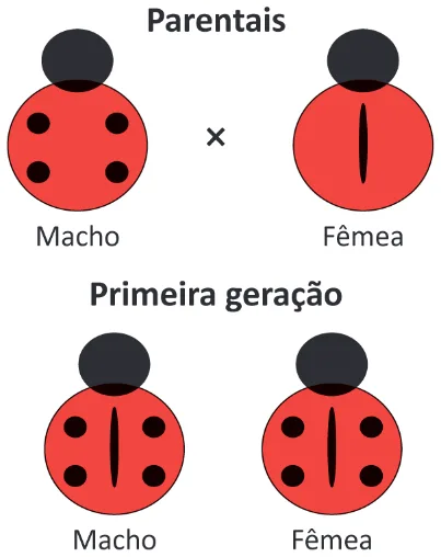Trecho original com figura, tabela ou fórmula da questão 101 do ENEM 2025 - 2º Dia – Caderno 11 – Laranja (Braile e ledor) – Aplicação Regular - (Atendimento Especializado).