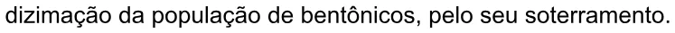 Alternativa E da questão 113 do ENEM 2020 - 2º Dia - Caderno 5 – Amarelo – Aplicação digital.