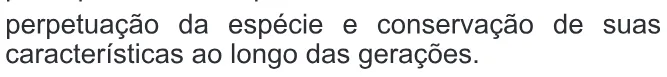 Alternativa E da questão 59 do ENEM 2014 - 1º Dia – Caderno 3 – Branco – Terceira aplicação.