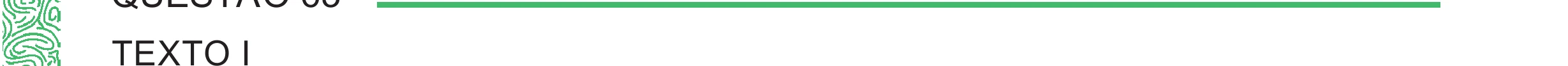 Trecho inicial da questão 63 do ENEM 2024 - 1º Dia – Caderno 4 – Verde (Ampliada) – Reaplicação/PPL, preservado do PDF oficial.