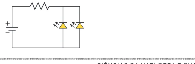 Alternativa E da questão 109 do ENEM 2024 - 2º Dia – Caderno 5 – Amarelo – Aplicação Regular.