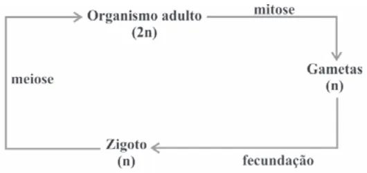 Alternativa B da questão 20 do ENEM 2009 - 1º Dia - Caderno 3 - Branco.