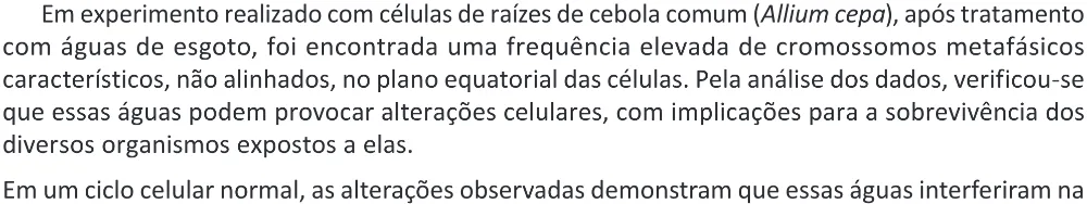 Trecho original com figura, tabela ou fórmula da questão 105 do ENEM 2025 - 2º Dia – Caderno 11 – Laranja (Braile e ledor) – Aplicação Regular - (Ampliada) - Belém, Ananindeua e Marituba.