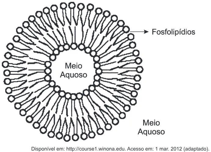 Trecho original com figura, tabela ou fórmula da questão 55 do ENEM 2012 - 1º Dia - Caderno 4 - Rosa – Aplicação regular.
