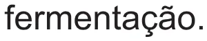 Alternativa B da questão 118 do ENEM 2021 - 2º Dia – Caderno 5 – Amarelo (Ampliada) – Aplicação Regular.