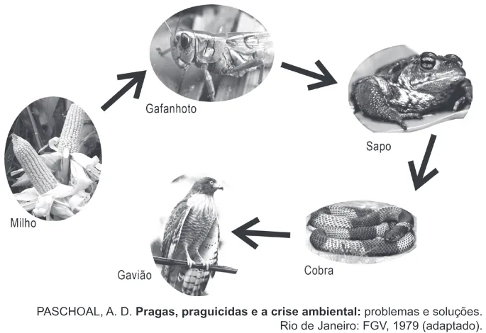 Trecho original com figura, tabela ou fórmula da questão 54 do ENEM 2012 - 1º Dia - Caderno 3 - Branco – Reaplicação/PPL.