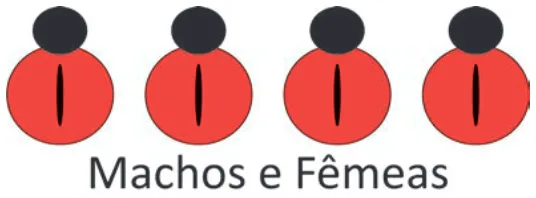 Alternativa B da questão 101 do ENEM 2025 - 2º Dia – Caderno 12 – Roxo (Libras) – Aplicação Regular - (Ampliada).