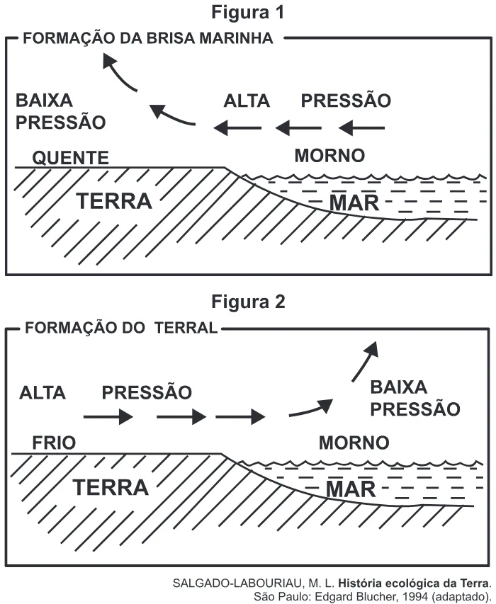 Trecho original com figura, tabela ou fórmula da questão 77 do ENEM 2017 - 1º Dia - Caderno 1 - Azul – Aplicação regular.