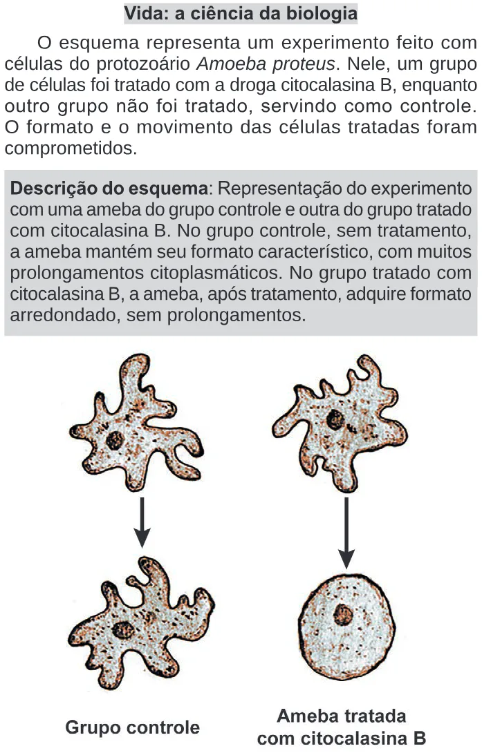 Trecho original com figura, tabela ou fórmula da questão 132 do ENEM 2024 - 2º Dia – Caderno 11 – Laranja (braile e ledor) – Aplicação Regular.