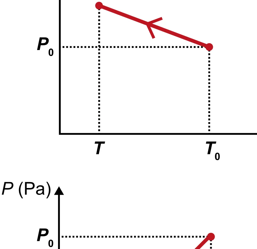 Alternativa D da questão 98 do ENEM 2023 - 2º Dia – Caderno 12 – Verde (Libras) – Aplicação Regular - (Superampliada).