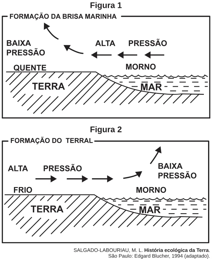 Trecho original com figura, tabela ou fórmula da questão 60 do ENEM 2017 - 1º Dia - Caderno 2 - Amarelo – Aplicação regular.