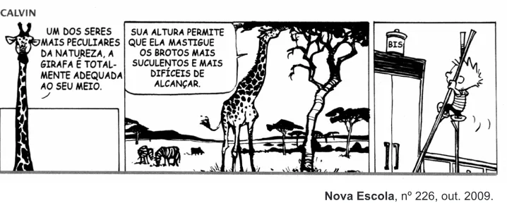 Trecho original com figura, tabela ou fórmula da questão 5 do ENEM 2010 - 1º Dia – Caderno 4 – Rosa – Reaplicação/PPL.