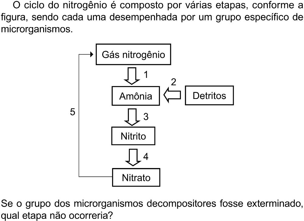 Trecho original com figura, tabela ou fórmula da questão 111 do ENEM 2023 - 2º Dia – Caderno 12 – Verde (Libras) – Aplicação Regular - (Superampliada).