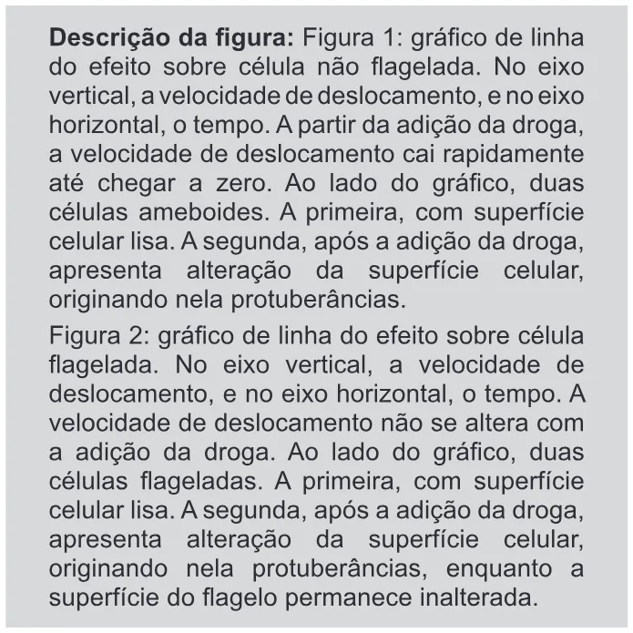 Trecho original com figura, tabela ou fórmula da questão 117 do ENEM 2019 - 2º Dia – Caderno 11 – Laranja – Reaplicação/PPL.