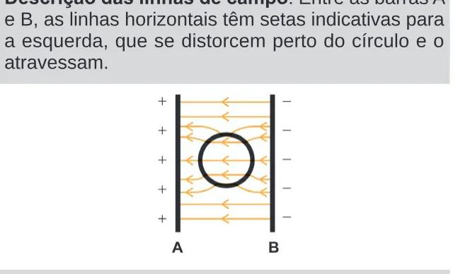 Alternativa C da questão 128 do ENEM 2024 - 2º Dia – Caderno 11 – Laranja (braile e ledor) – Aplicação Regular.