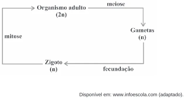 Alternativa E da questão 21 do ENEM 2009 - 1º Dia - Caderno 1 - Azul.
