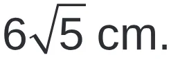 Alternativa D da questão 161 do ENEM 2019 - 2º Dia – Caderno 6 – Cinza (Superampliada) – Aplicação Regular.
