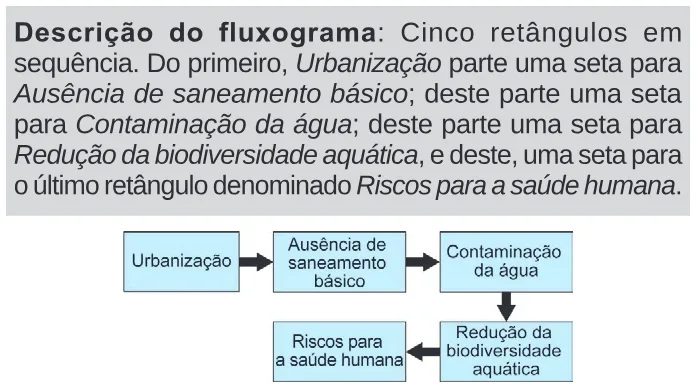 Trecho original com figura, tabela ou fórmula da questão 102 do ENEM 2024 - 2º Dia – Caderno 11 – Laranja (braile e ledor) – Aplicação Regular.