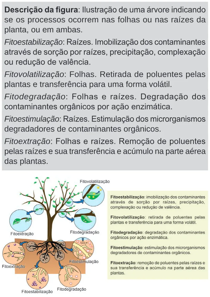 Trecho original com figura, tabela ou fórmula da questão 118 do ENEM 2024 - 2º Dia – Caderno 11 – Laranja (braile e ledor) – Aplicação Regular.