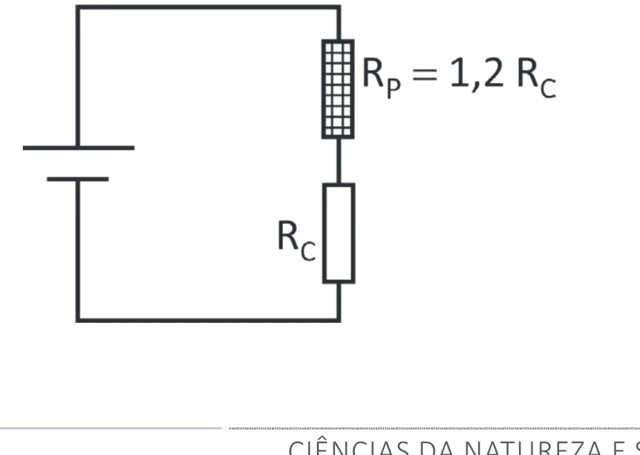 Alternativa C da questão 116 do ENEM 2025 - 2º Dia – Caderno 12 – Roxo (Libras) – Aplicação Regular - (Superampliada).