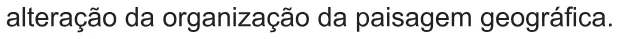 Alternativa E da questão 79 do ENEM 2021 - 1º Dia – Caderno 9 – Laranja (Braile e ledor) – Aplicação Regular.