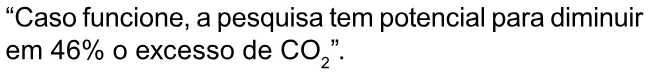 Alternativa C da questão 39 do ENEM 2023 - 1º Dia – Caderno 4 – Rosa – Reaplicação/PPL.