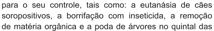 Trecho original com figura, tabela ou fórmula da questão 117 do ENEM 2021 - 2º Dia – Caderno 8 – Rosa – Reaplicação/PPL/Segunda Oportunidade.