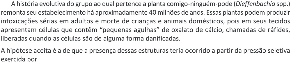 Trecho original com figura, tabela ou fórmula da questão 93 do ENEM 2025 - 2º Dia – Caderno 11 – Laranja (Braile e ledor) – Aplicação Regular - (Ampliada) - Belém, Ananindeua e Marituba.