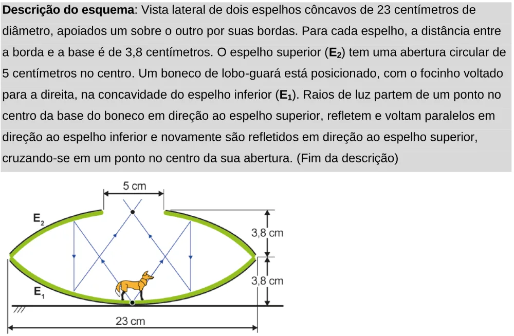 Trecho original com figura, tabela ou fórmula da questão 110 do ENEM 2024 - 2º Dia – Caderno 11 – Laranja (braile e ledor) – Aplicação Regular - Leitor de tela (NVDA).