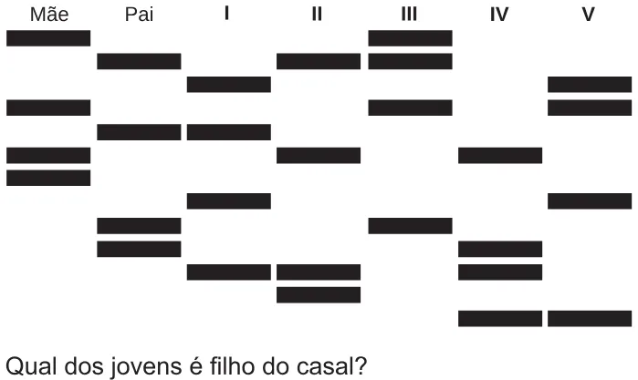 Trecho original com figura, tabela ou fórmula da questão 121 do ENEM 2017 - 2º Dia - Caderno 5 - Amarelo – Reaplicação/PPL.