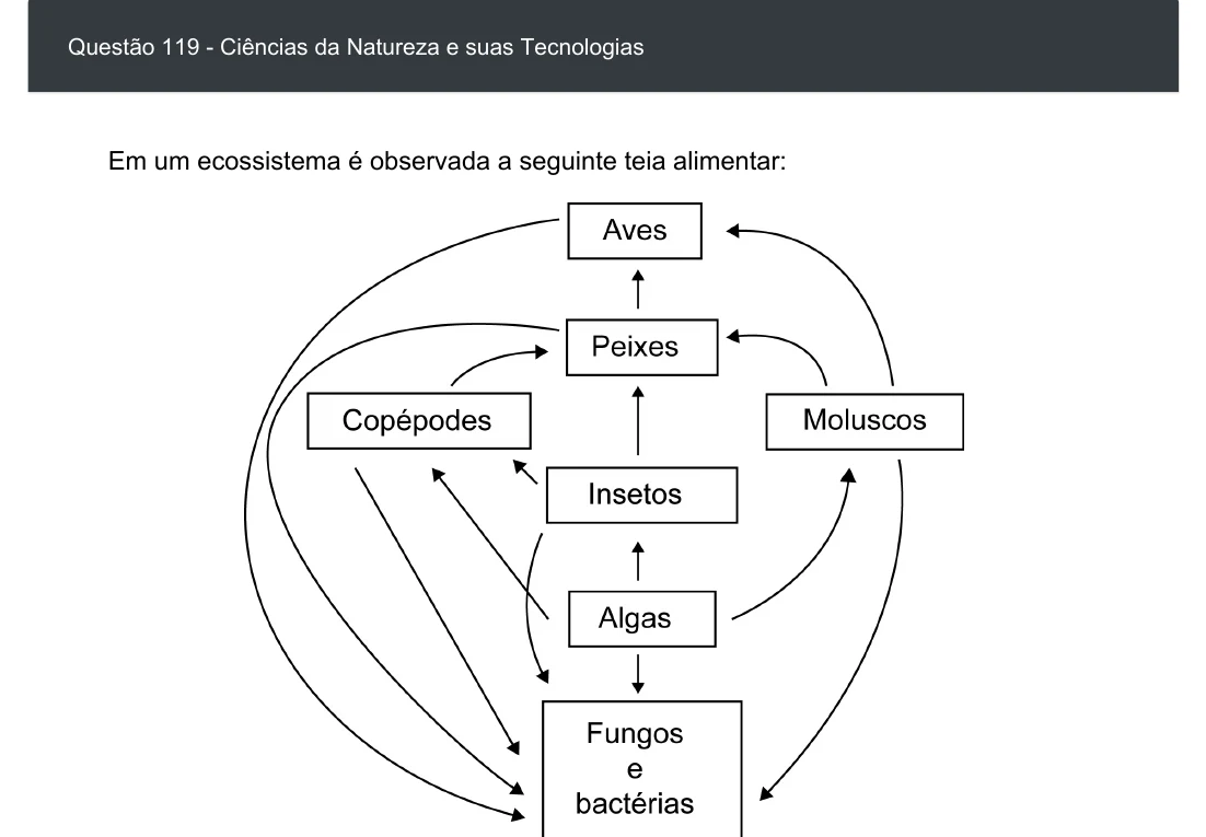 Enunciado visual completo da questão 119 do ENEM 2020 - 2º Dia - Caderno 6 – Cinza – Aplicação digital, página 33.