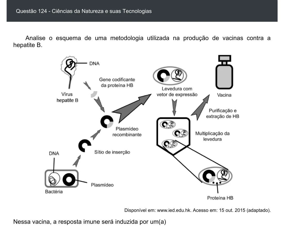 Enunciado visual completo da questão 124 do ENEM 2020 - 2º Dia - Caderno 6 – Cinza – Aplicação digital, página 38.