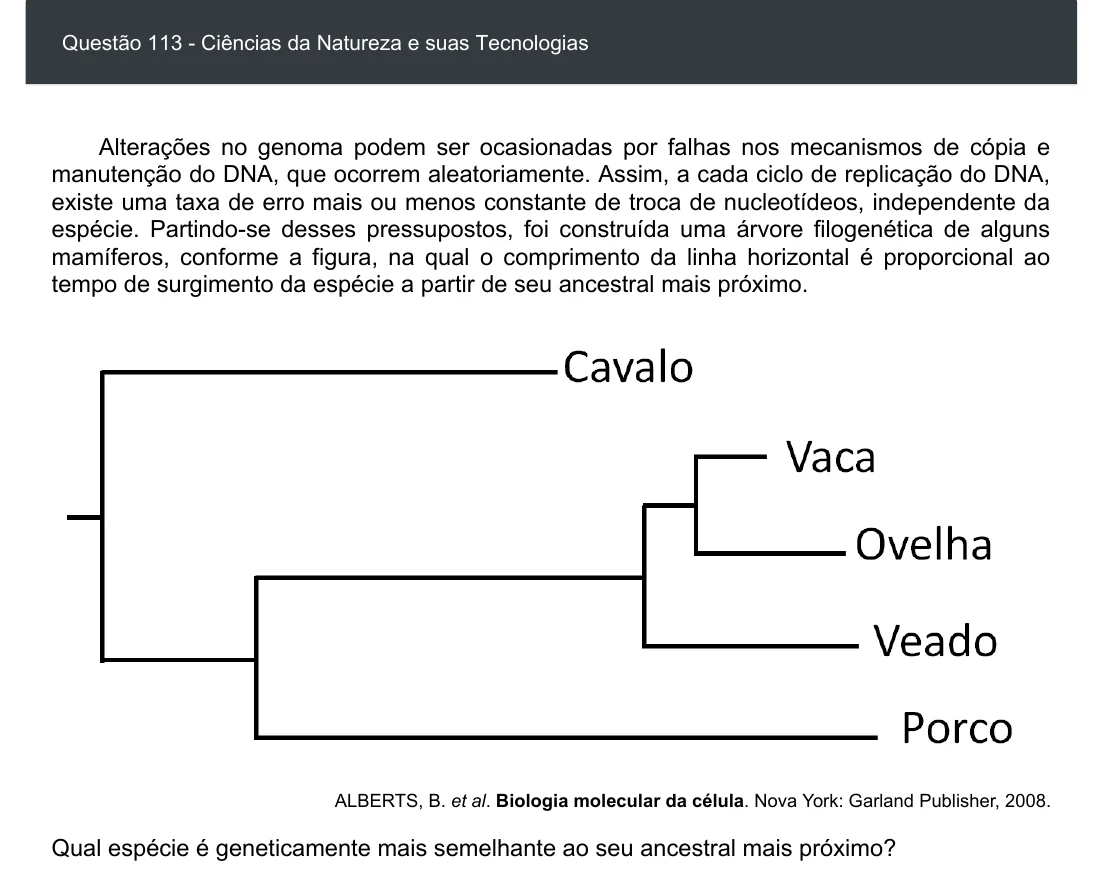 Enunciado visual completo da questão 113 do ENEM 2020 - 2º Dia - Caderno 8 – Rosa – Aplicação digital, página 27.