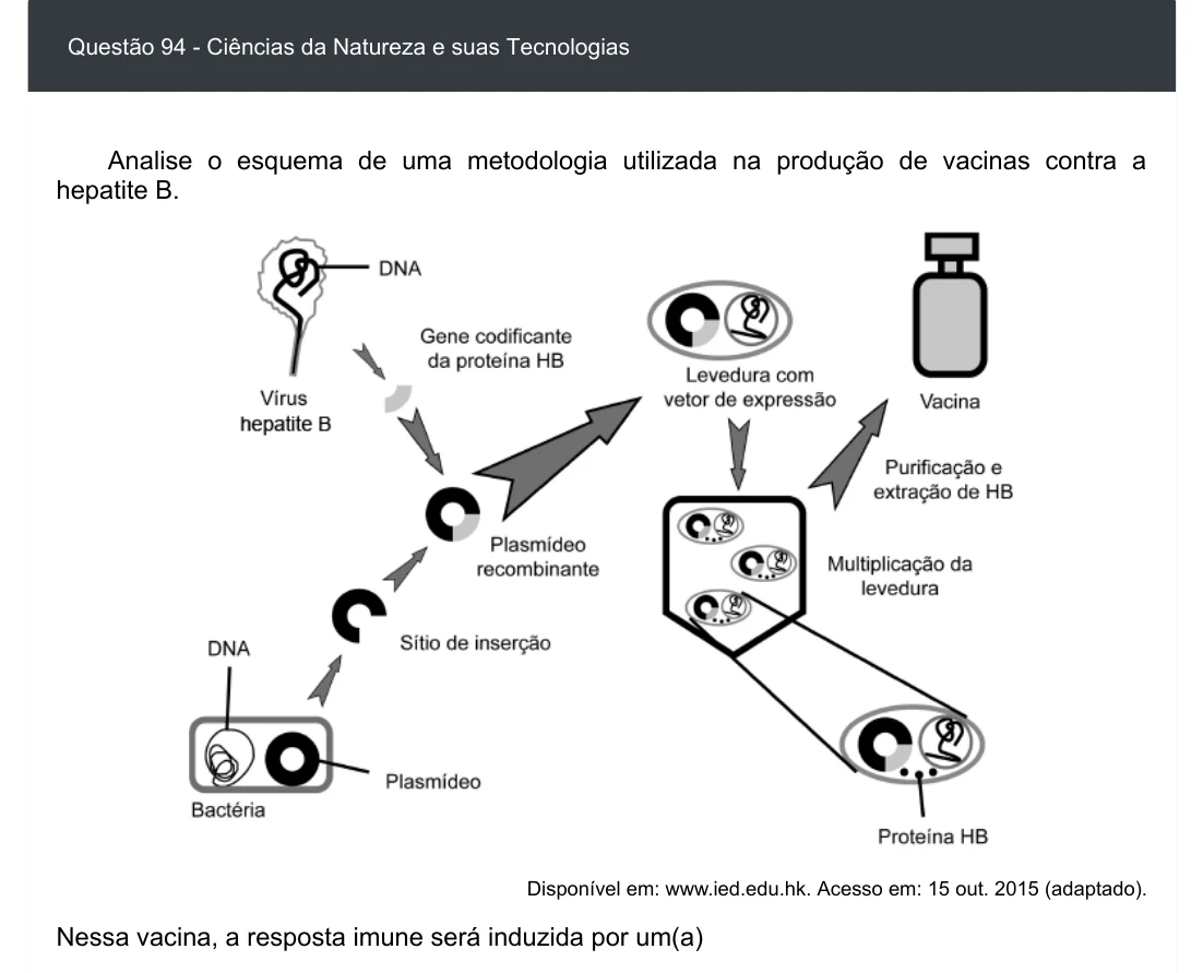 Enunciado visual completo da questão 94 do ENEM 2020 - 2º Dia - Caderno 5 – Amarelo – Aplicação digital, página 8.