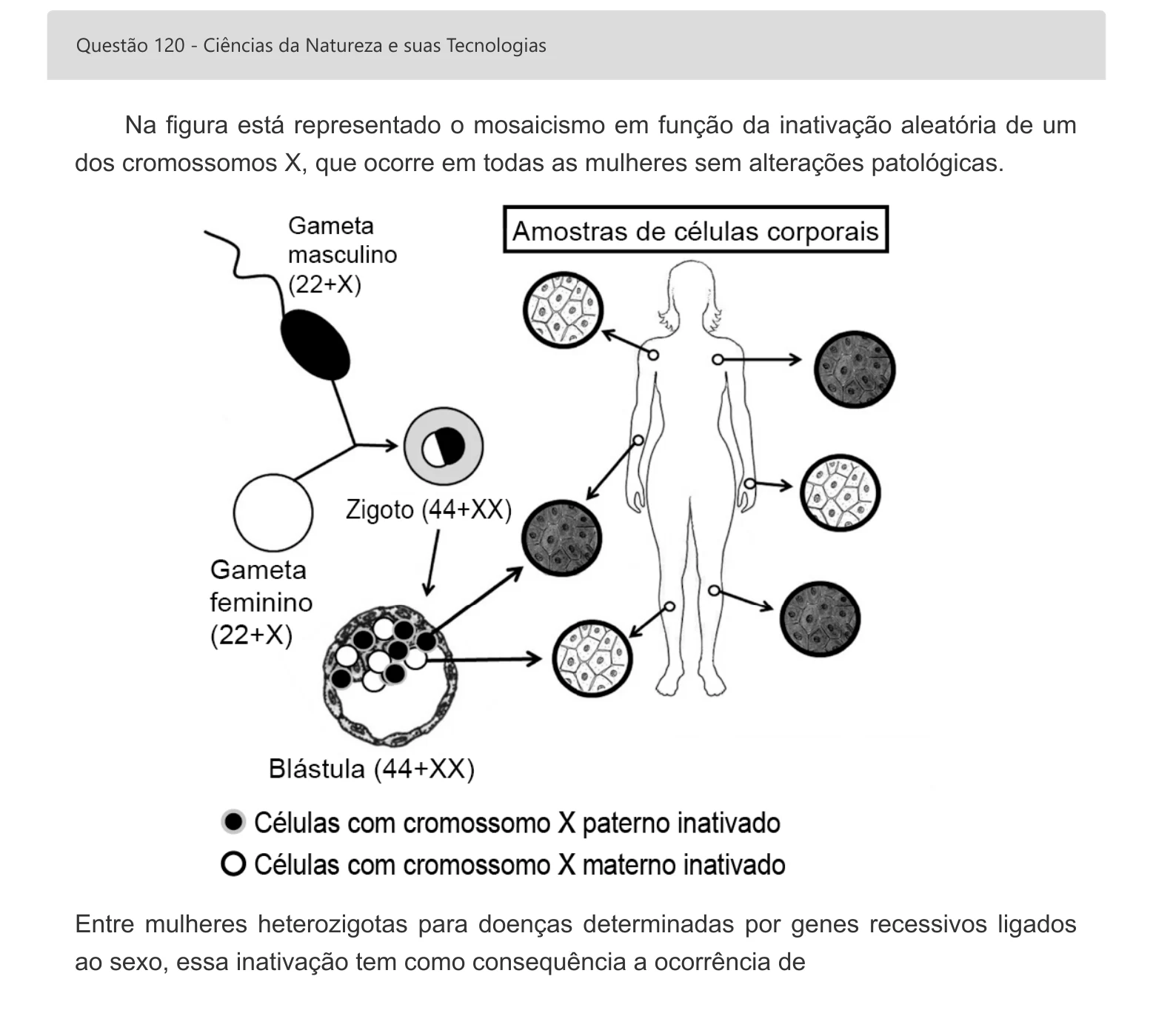 Enunciado visual completo da questão 120 do ENEM 2022 - 2º Dia – Caderno 8 – Rosa – Aplicação digital, página 38.