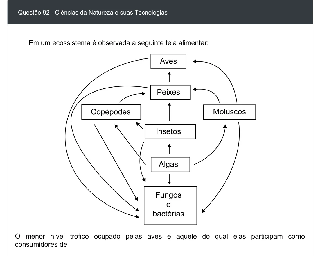 Enunciado visual completo da questão 92 do ENEM 2020 - 2º Dia - Caderno 8 – Rosa – Aplicação digital, página 6.