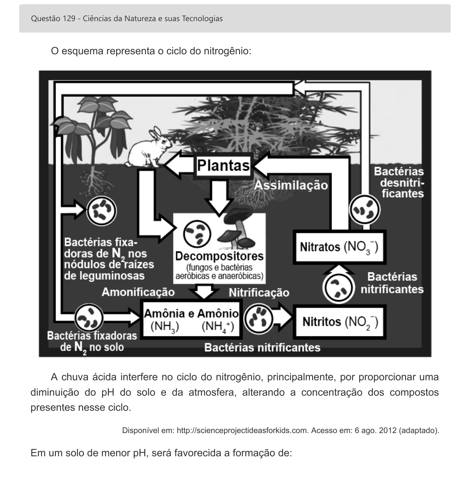 Enunciado visual completo da questão 129 do ENEM 2022 - 2º Dia – Caderno 7 – Azul – Aplicação digital, página 47.