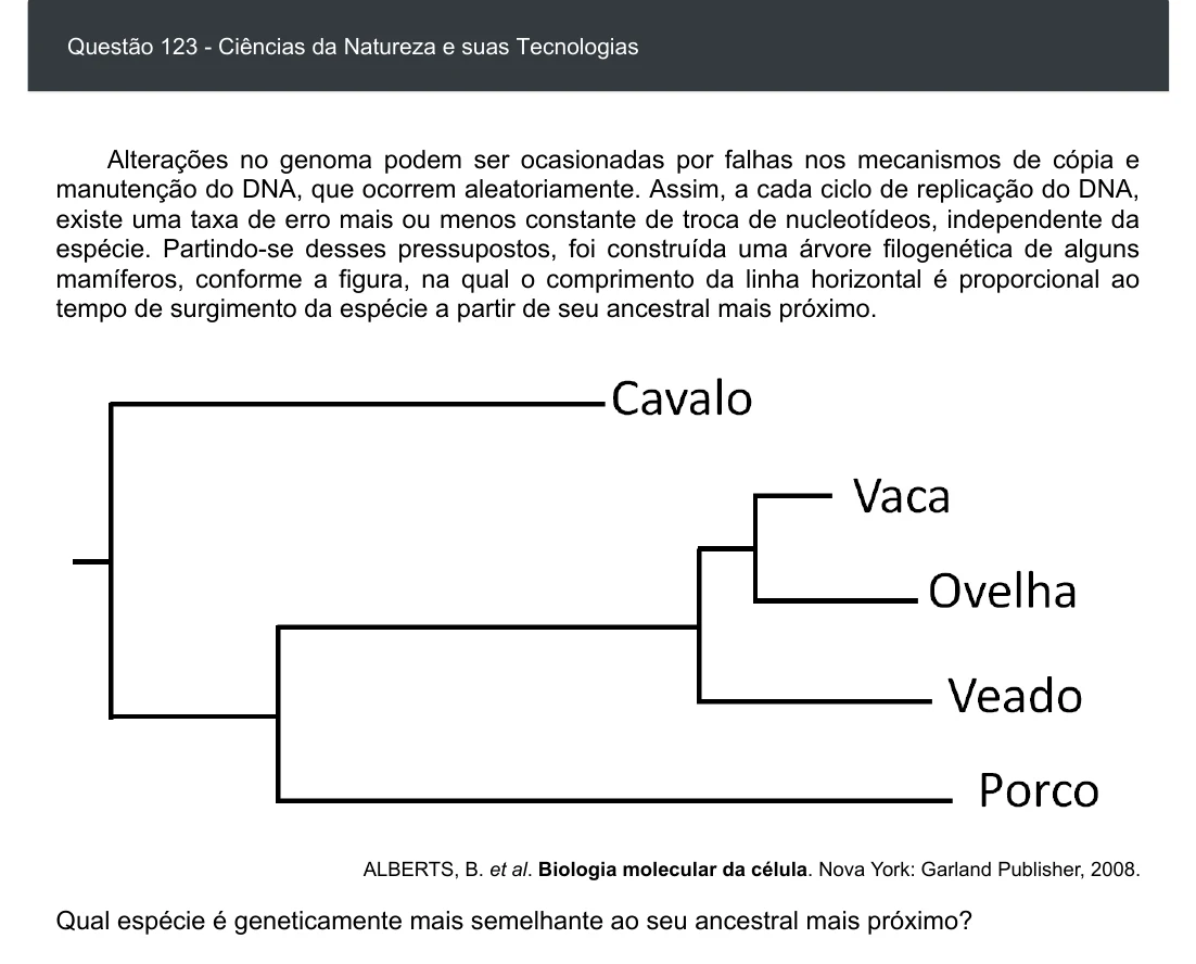 Enunciado visual completo da questão 123 do ENEM 2020 - 2º Dia - Caderno 6 – Cinza – Aplicação digital, página 37.