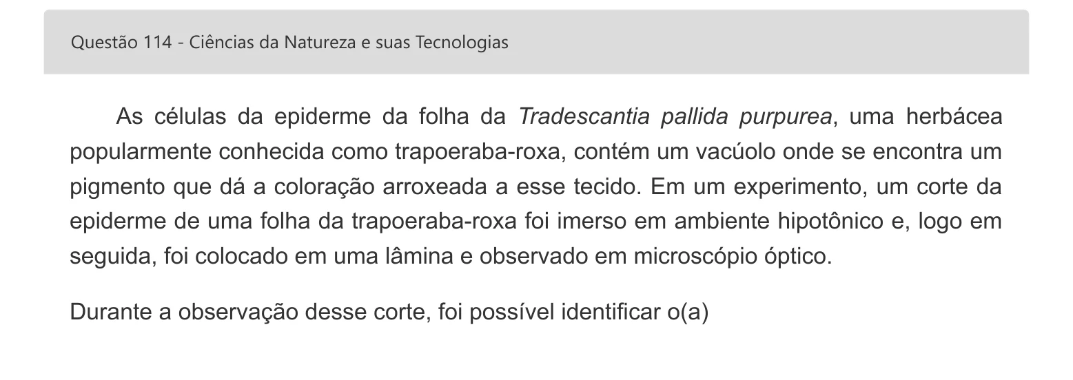 Enunciado visual completo da questão 114 do ENEM 2022 - 2º Dia – Caderno 7 – Azul – Aplicação digital, página 32.