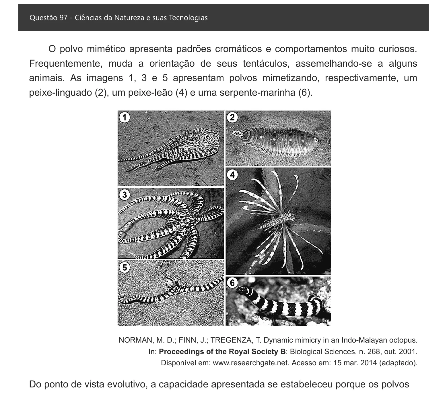 Enunciado visual completo da questão 97 do ENEM 2021 - 2º Dia – Caderno 8 – Rosa – Aplicação digital, página 13.