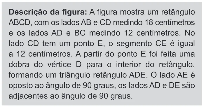 Trecho original com figura, tabela ou fórmula da questão 161 do ENEM 2019 - 2º Dia – Caderno 11 – Laranja (Braile e Ledor) – Aplicação Regular.
