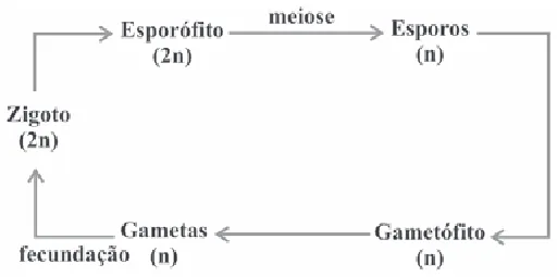 Alternativa A da questão 21 do ENEM 2009 - 1º Dia - Caderno 1 - Azul.