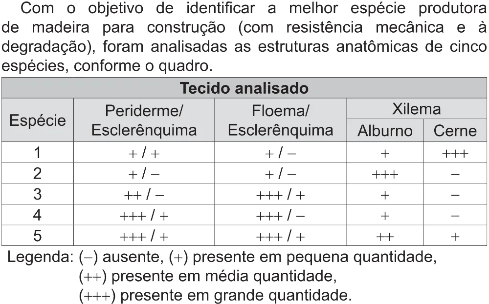 Trecho original com figura, tabela ou fórmula da questão 114 do ENEM 2021 - 2º Dia – Caderno 5 – Amarelo (Superampliada) – Aplicação Regular.