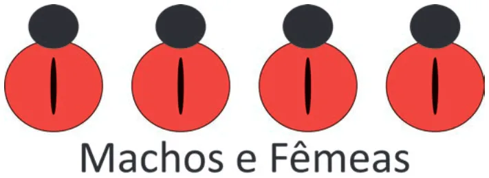 Alternativa B da questão 101 do ENEM 2025 - 2º Dia – Caderno 11 – Laranja (Braile e ledor) – Aplicação Regular - (Superampliada).