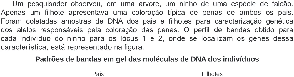 Trecho original com figura, tabela ou fórmula da questão 108 do ENEM 2019 - 2º Dia – Caderno 5 – Amarelo (Ampliada) – Reaplicação/PPL.